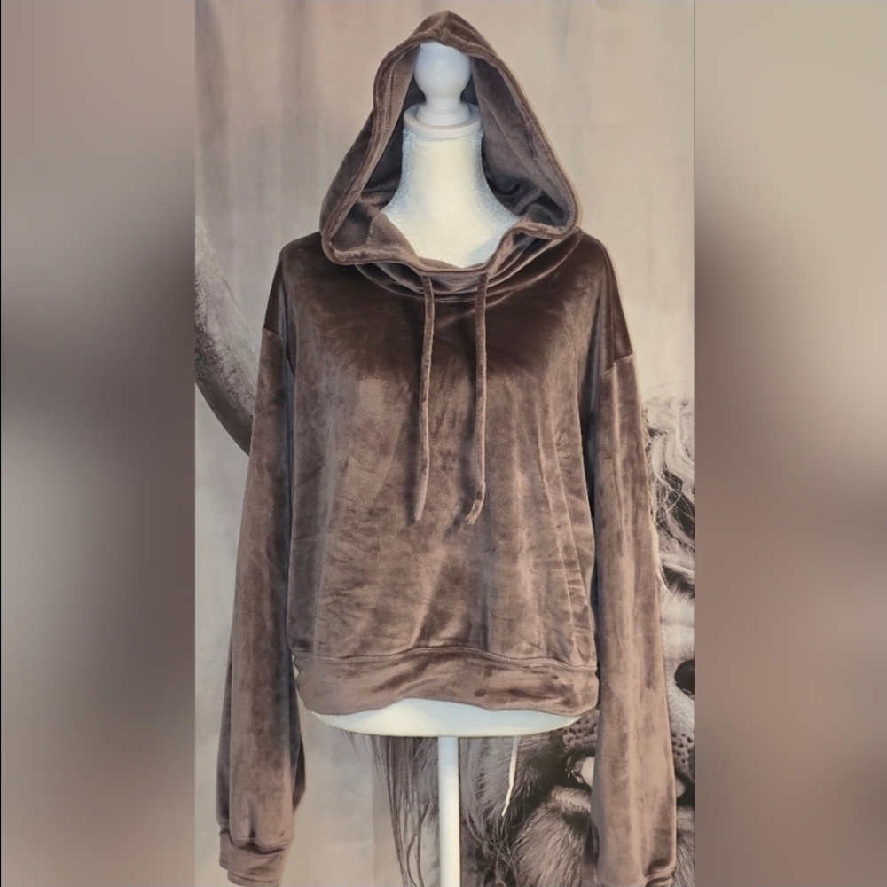 Gilly Hicks Velour Velvet Hoodie